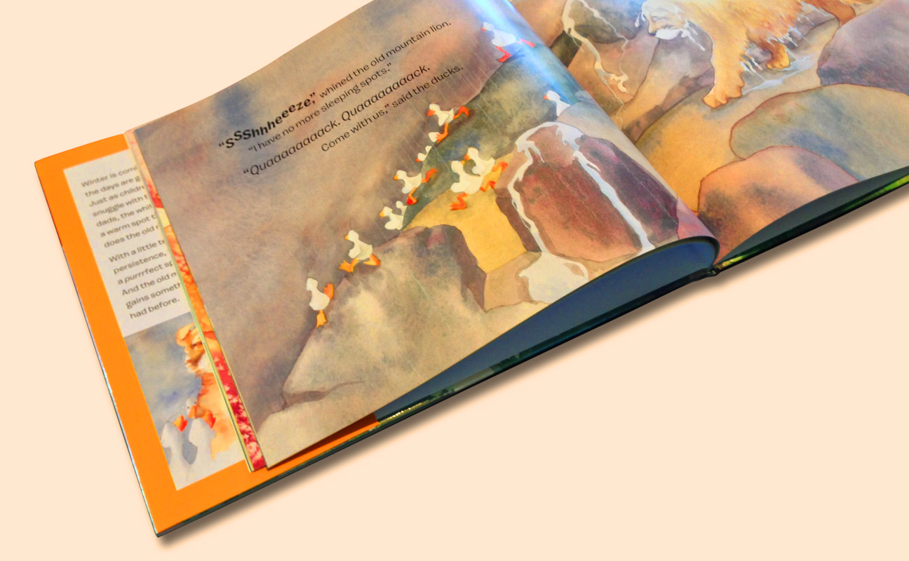 Ducks Ducks book by Theodocia Swecker